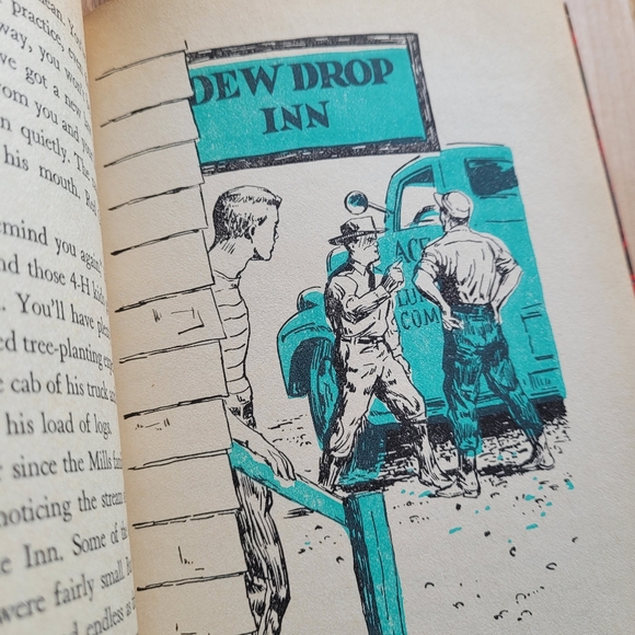 The Forest Fire Mystery by Troy Nesbit / 1962 / Vintage Children's Book - Picture 6 of 8